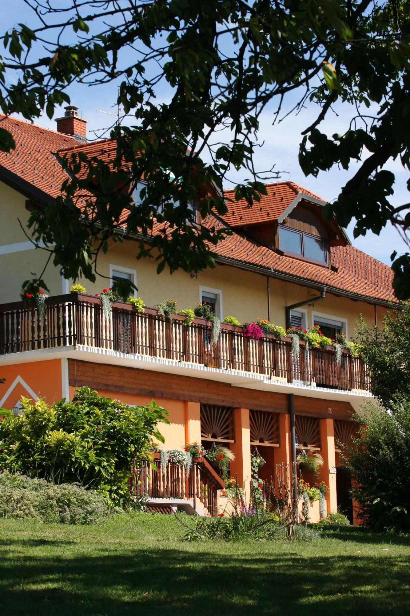 Panorama B&B Ptuj Bagian luar foto