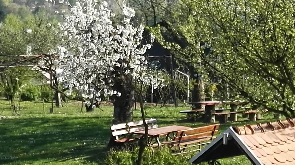 Panorama B&B Ptuj Bagian luar foto