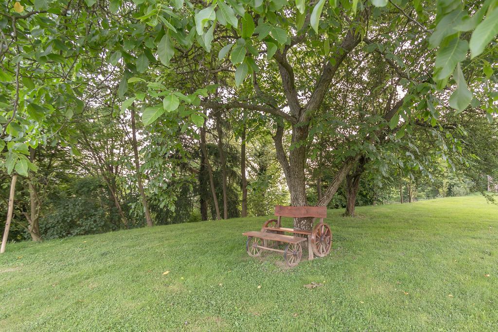 Panorama B&B Ptuj Bagian luar foto