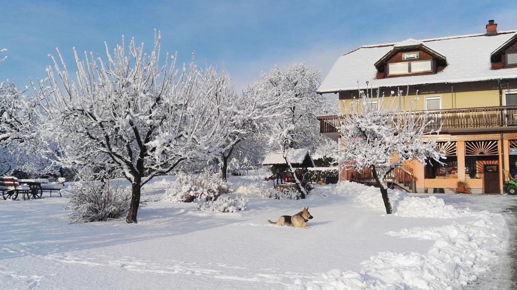 Panorama B&B Ptuj Bagian luar foto