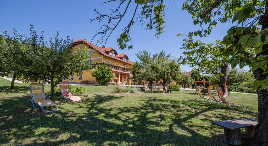 Panorama B&B Ptuj Bagian luar foto
