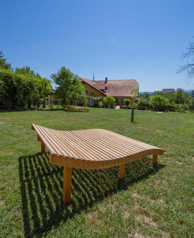 Panorama B&B Ptuj Bagian luar foto