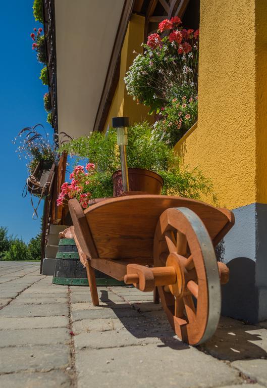 Panorama B&B Ptuj Bagian luar foto