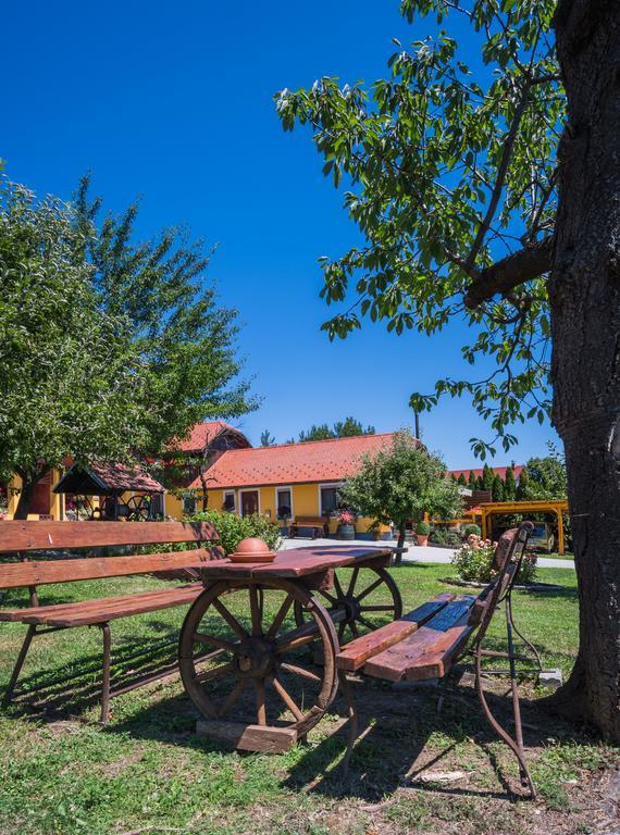 Panorama B&B Ptuj Bagian luar foto