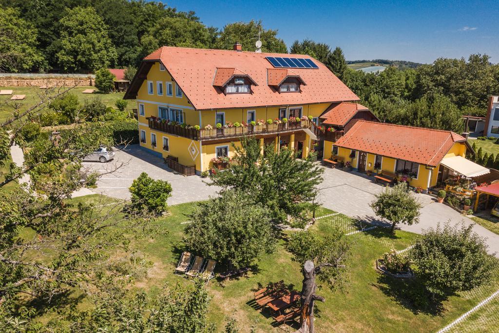 Panorama B&B Ptuj Bagian luar foto