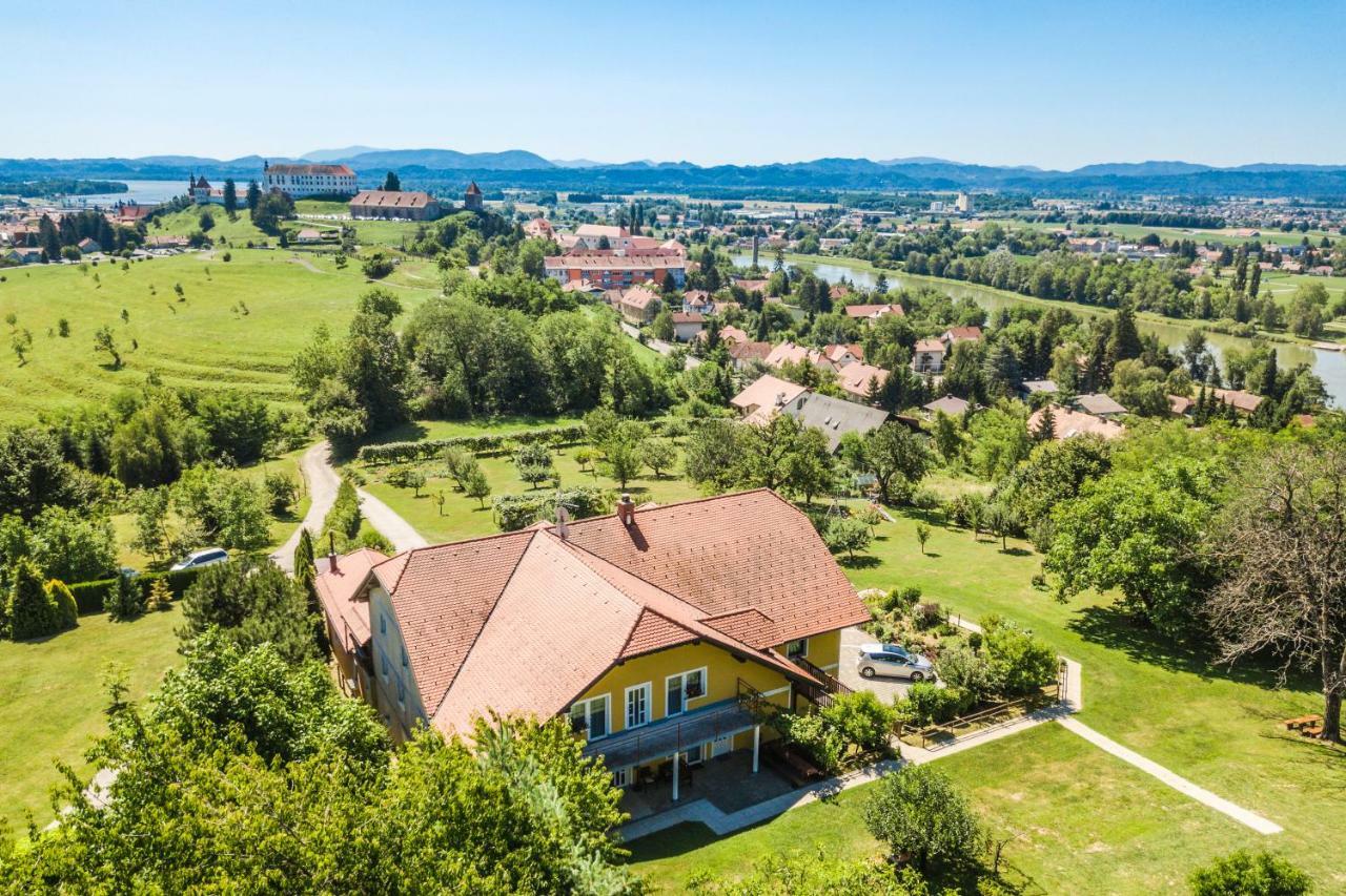 Panorama B&B Ptuj Bagian luar foto