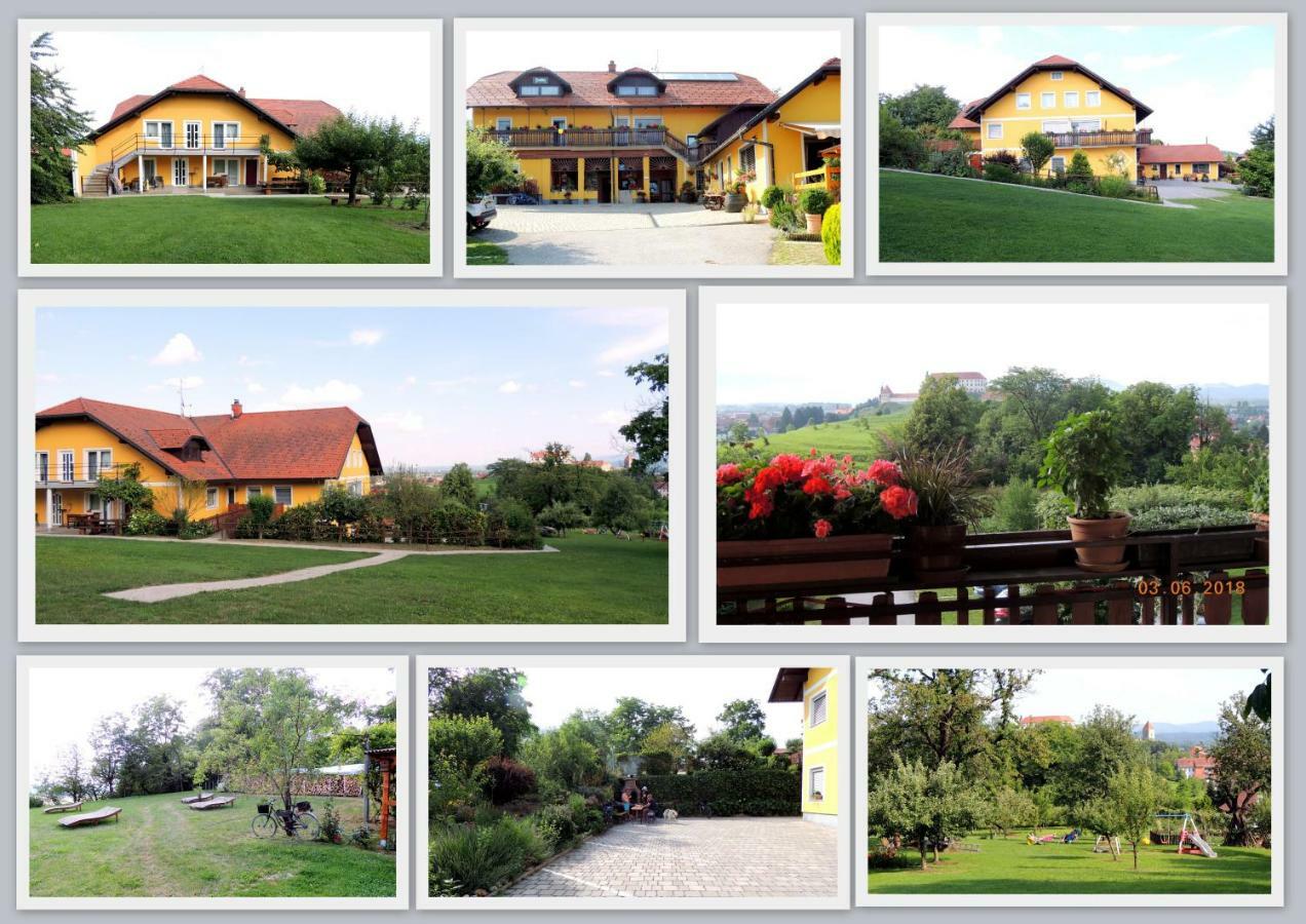 Panorama B&B Ptuj Bagian luar foto