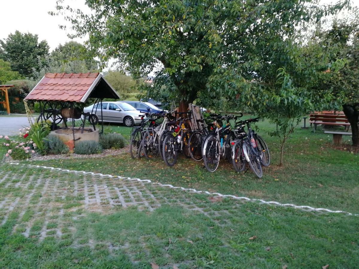 Panorama B&B Ptuj Bagian luar foto
