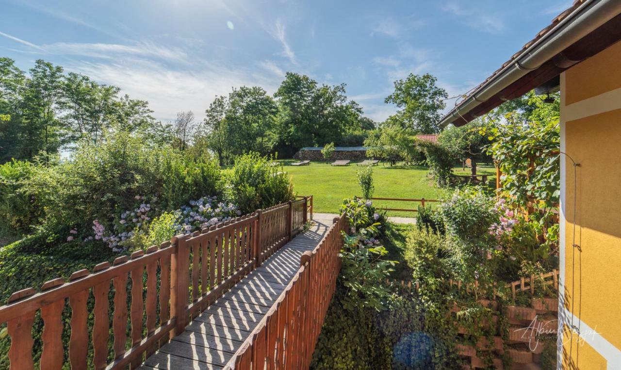 Panorama B&B Ptuj Bagian luar foto